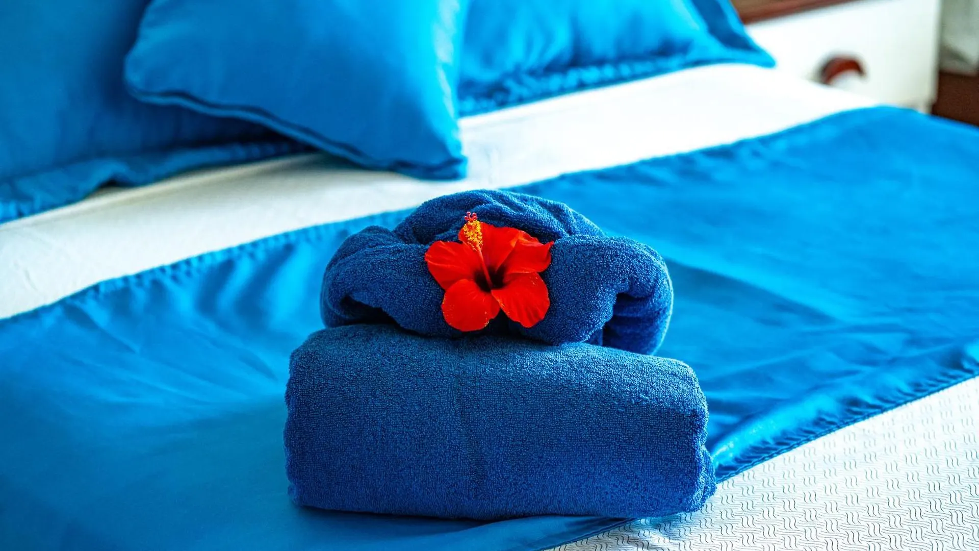 Agualina Kite Hotel Oceanfront Apartments Cabarete
