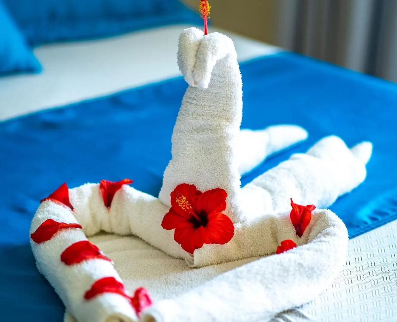 Agualina Kite Hotel Oceanfront Apartments Cabarete