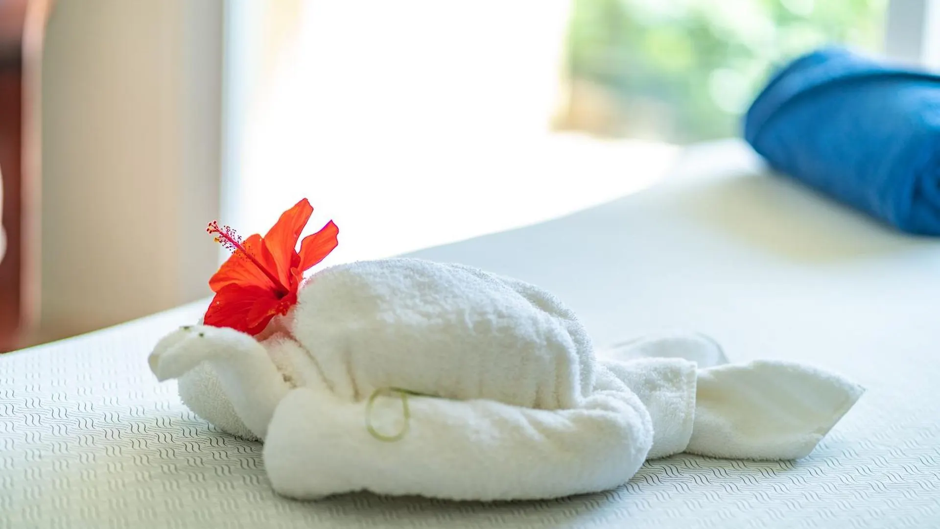 Agualina Kite Hotel Oceanfront Apartments Cabarete